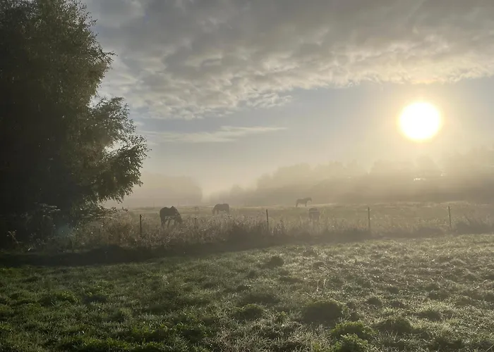 Hausboot Paula Im Stadthafen In *